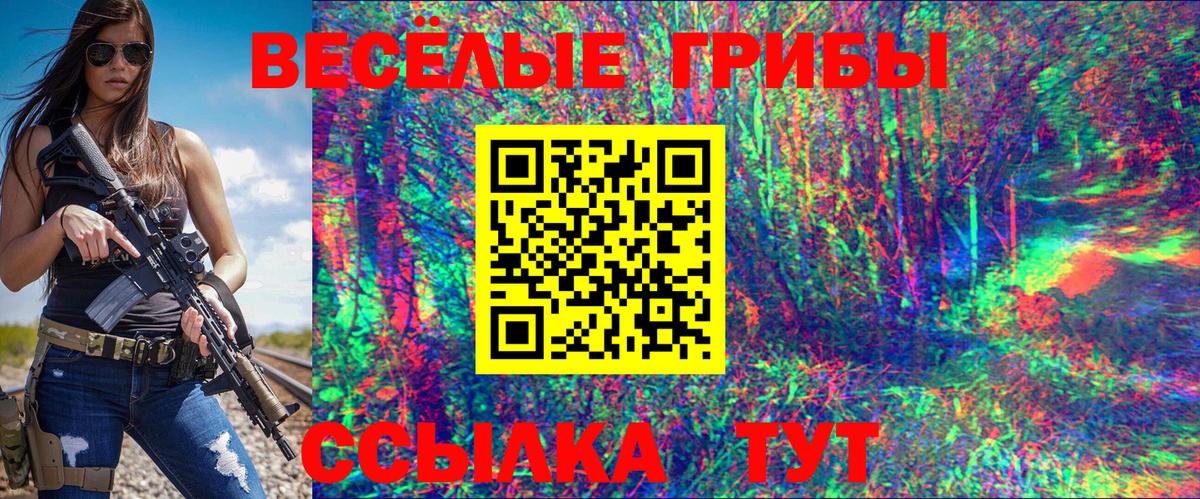 Дзержинск  Галлюциногенные грибы мухоморы  Вход с VPN 