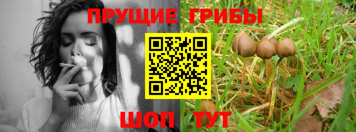 Галлюциногенные грибы Magic Shrooms Дзержинск